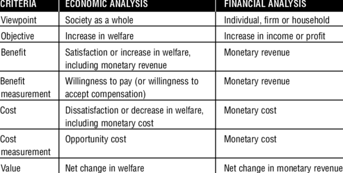 What are financial values everfi