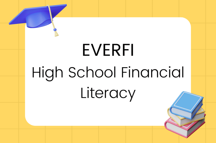 What are financial values everfi