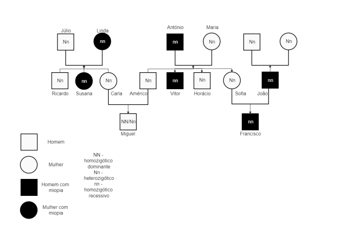 Family therapy genogram example assessment origin theory sample systems diagram template bowen work draw triangle affects affect member each social