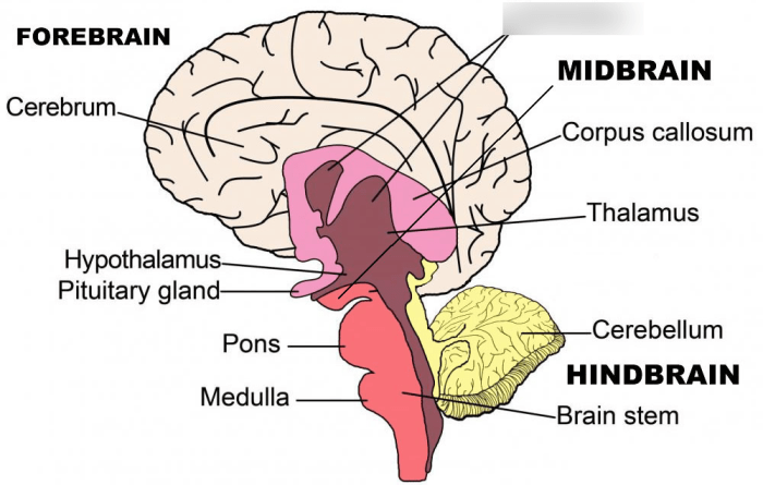 Ap psychology unit 12 practice test