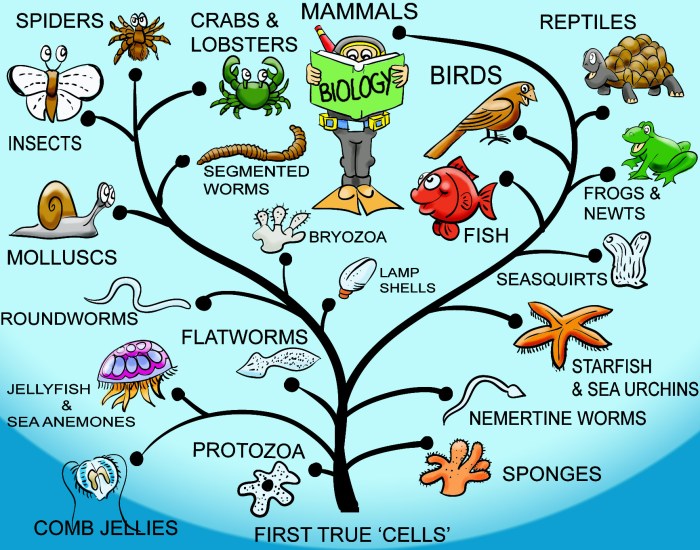 The origin of species: lizards in an evolutionary tree answers